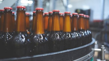Konveyör bandında bira şişeleri. Sığ DOF. Seçici odak.