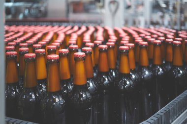 Konveyör bandında bira şişeleri. Sığ DOF. Seçici odak.