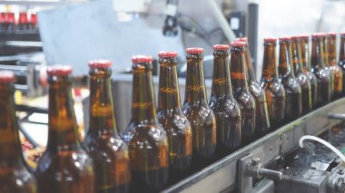 Konveyör bandında bira şişeleri. Sığ DOF. Seçici odak.