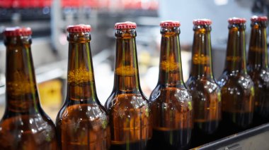 Konveyör bandında bira şişeleri. Sığ DOF. Seçici odak.
