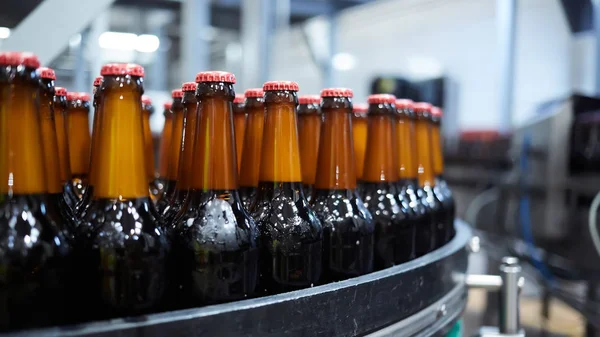 Beer bottles on the conveyor belt. Shallow dof. Selective focus. — Stock Photo, Image