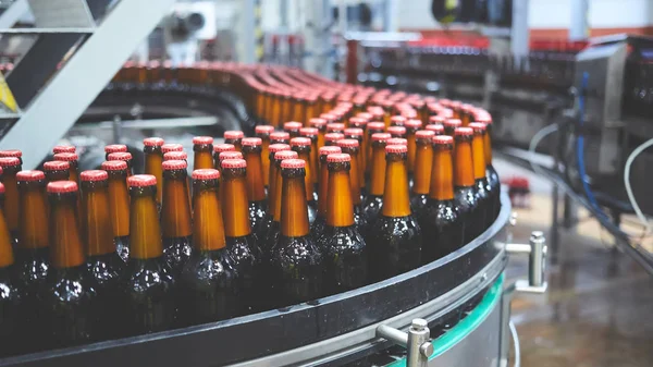 Botellas de cerveza en la cinta transportadora. Tonterías superficiales. Enfoque selectivo . — Foto de Stock