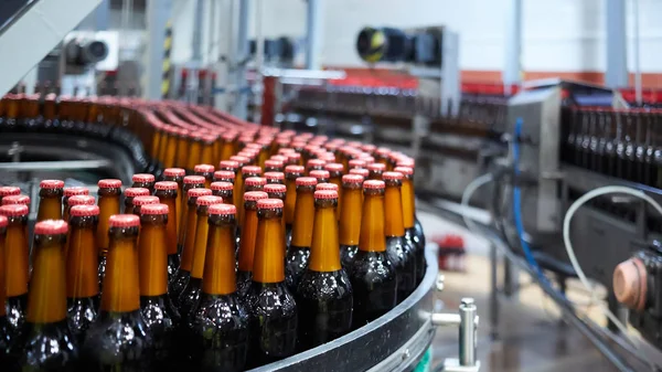 Beer bottles on the conveyor belt. Shallow dof. Selective focus. — Stock Photo, Image