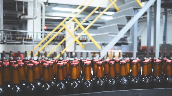 Botellas de cerveza en la cinta transportadora. Tonterías superficiales. Enfoque selectivo . — Foto de Stock