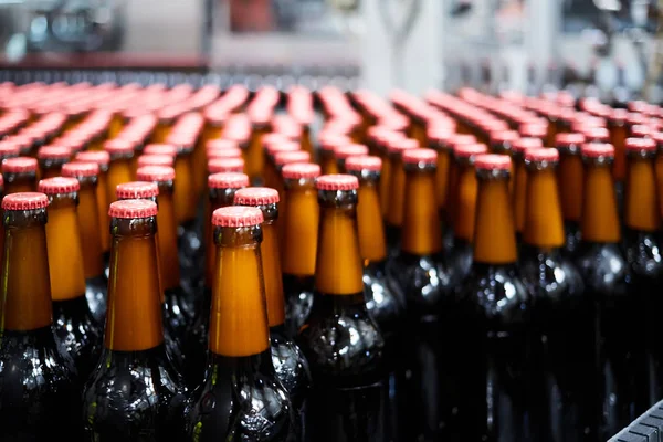 Botellas de cerveza en la cinta transportadora. Tonterías superficiales. Enfoque selectivo . — Foto de Stock