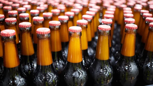 Butelki piwa na taśmie przenośnika. Płytkie DOF. Selektywna koncentracja. — Zdjęcie stockowe