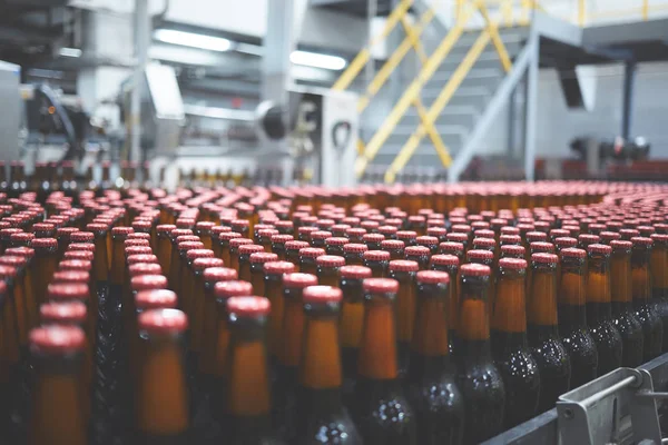 Botellas de cerveza en la cinta transportadora. Tonterías superficiales. Enfoque selectivo . — Foto de Stock