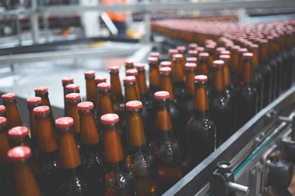 Konveyör bandında bira şişeleri. Sığ DOF. Seçici odak.