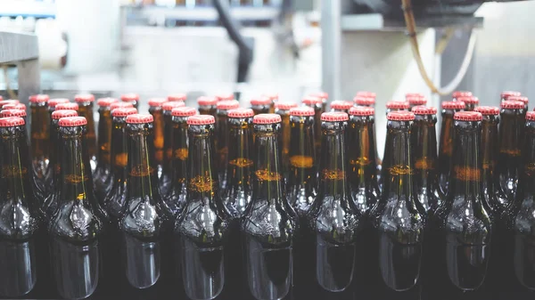 Botellas de cerveza en la cinta transportadora. Tonterías superficiales. Enfoque selectivo . — Foto de Stock