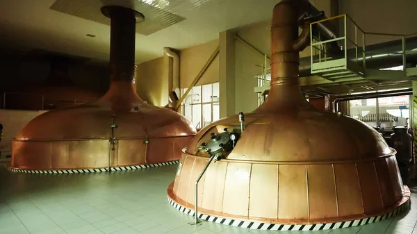 Apparatuur voor de bereiding van bier. Lijnen van Cooper tanks in brouwerij. Maakbare proces van brewage. Wijze van bierproductie. Binnenaanzicht van moderne brouwinstallatie met vaten. — Stockfoto