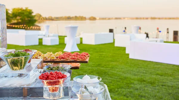 Italian antipasti wine snacks set on ice — Stock Photo, Image