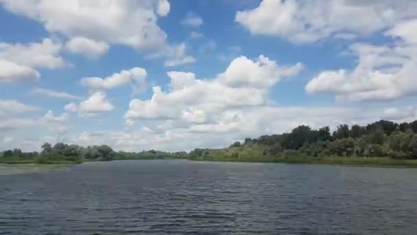 Beau paysage estival de la rivière. Vue de la rive de la rivière. À midi. Le vent remue les arbres. — Video