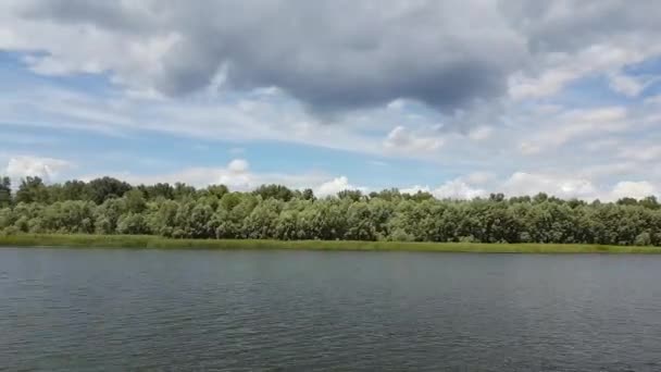 Beau paysage estival de la rivière. Vue de la rive de la rivière. À midi. Le vent remue les arbres. — Video