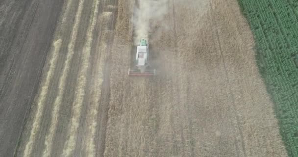 Aerial view of wheat harvest. Drone shot flying over three combine harvesters working on wheat field. — Stock Video