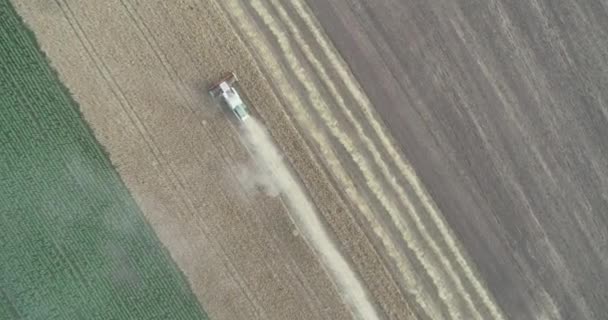 小麦の収穫の空中ビュー。小麦畑で働いている3人のコンバイン収穫機の上を飛ぶドローンショット. — ストック動画