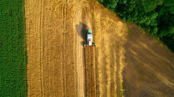 Vista aérea da colheita de trigo. Drone tiro voando sobre três combinam colheitadeiras que trabalham no campo de trigo. — Fotografia de Stock