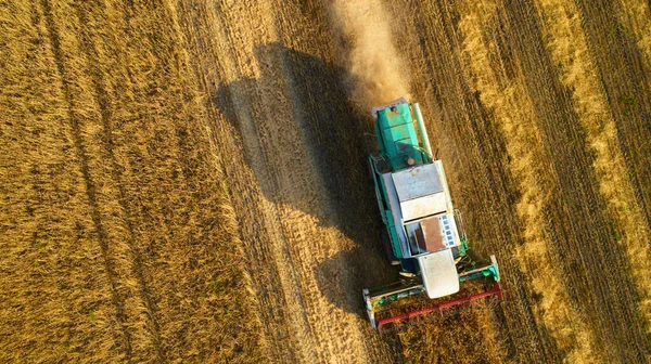 从空中俯瞰小麦收获.在麦田里干活的三台联合收割机上，有人发射了无人机. — 图库照片
