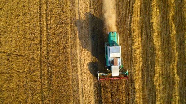 Aerial view of wheat harvest. Drone shot flying over three combine harvesters working on wheat field. — Stock Photo, Image