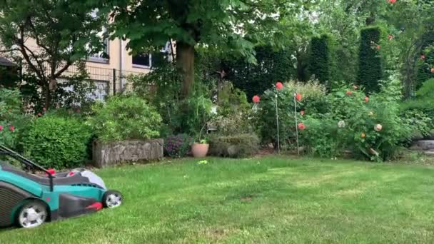 Una Mujer Guapa Que Está Cociendo Césped Propio Jardín Disparos — Vídeos de Stock