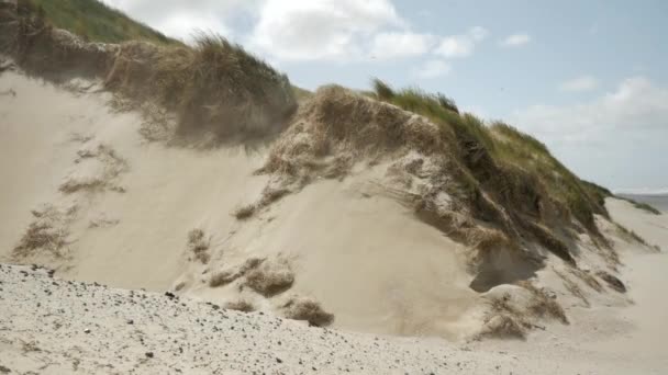 Static Shot Sandy Hill Dune Grass Landscape Sand Storm Windy — Stockvideo