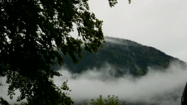 手前の緑の木の葉と夏休みの自然の中で生い茂った山々の間の霧 動画クリップ