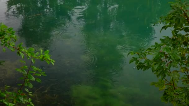バイエルン州の曇りの日の間に自然Walchensee湖の水面に降る雨 ストック映像