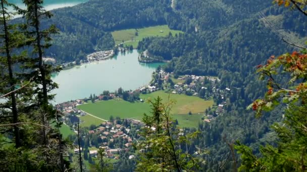 山の森の中で晴れた日にバイエルン州の谷の小さな村に囲まれた美しいWalchensee湖のトップダウンショットワイドショット ロイヤリティフリーストック映像