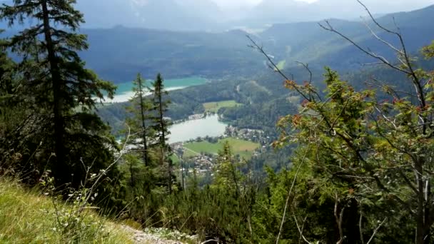 山に囲まれた谷の丘や湖に森の中の木の空中トップダウンショット ロイヤリティフリーのストック動画