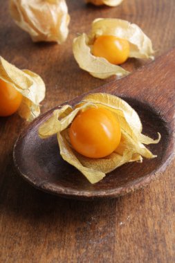 Tahta bir arka planda fizsalis.