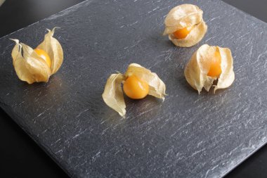 Physalis taş zemin üzerine