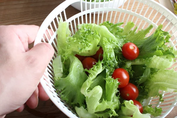 Sla Bladeren Tomaten Hand Een Houten Achtergrond — Stockfoto