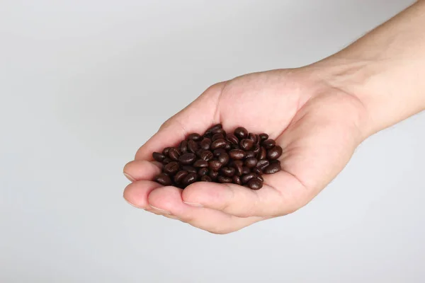Grains Coffee Hand Light Background — Stock Photo, Image