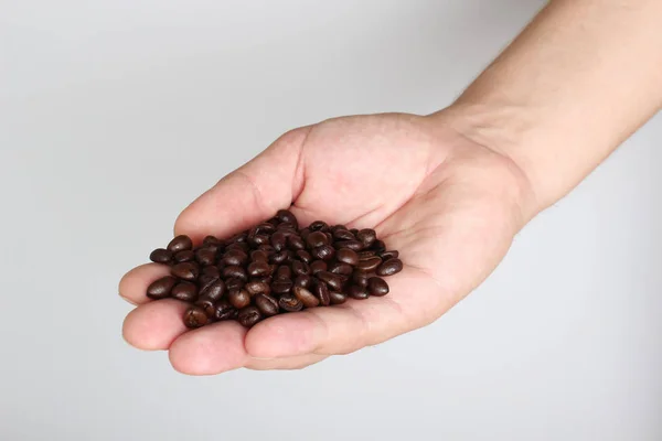 Grains Coffee Hand Light Background — Stock Photo, Image