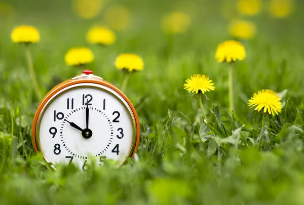 Daylight savings time, spring forward concept - retro alarm clock and dandelion flowers in the grass