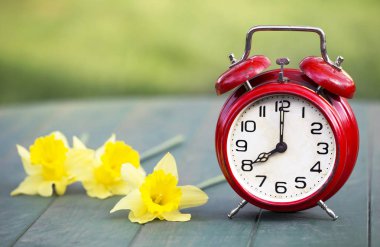 Paskalya zamanı, nergis çiçekler ve bir retro kırmızı çalar saat