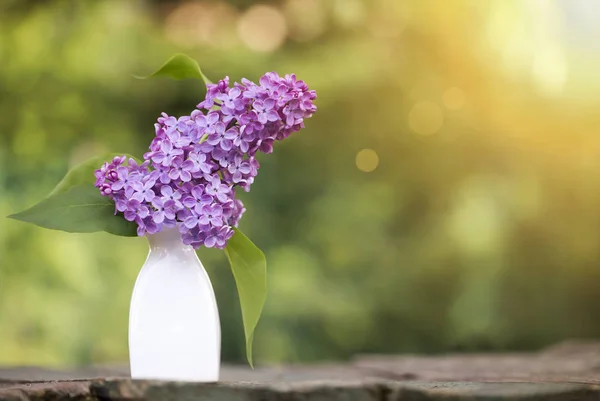 Mothers day card idea, purple lilac flower in spring