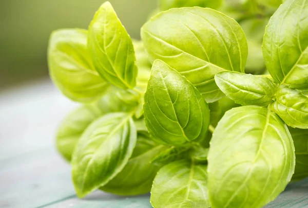 Natural herb and vegetable food, fresh green basil leaves