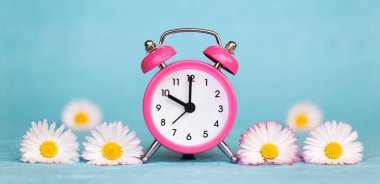 Pembe alarm saati ve mavi arka planda beyaz papatya çiçekleri. Web afişi, yaz konsepti.