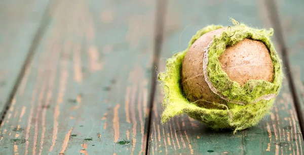 昔のチューインは木製の背景に汚れた緑色のテニスボールを使用しました Webバナー — ストック写真