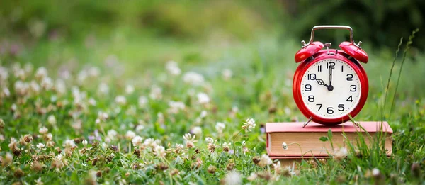 Ahorre Tiempo Concepto Ahorro Luz Natural Despertador Libros Antiguos Hierba — Foto de Stock