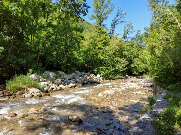 Gebirgsfluss Nationalpark Nahe Der Stadt Almaty — Stockfoto