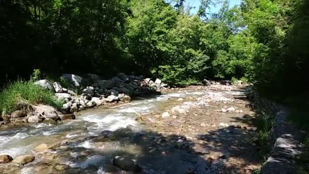 Hegyi Folyó Nemzeti Park Közelében Almaty — Stock videók