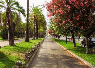 Cannes, Fransa - 3 Temmuz 2018: Coşan Croisette Cannes şehir, Fransa üzerinde çiçeklenme. Kimliği belirsiz kişi sokakta yürürken.