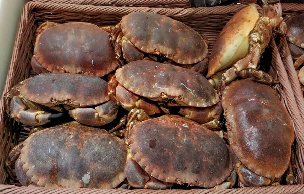 Caranguejos Frescos Mercado Para Venda — Fotografia de Stock