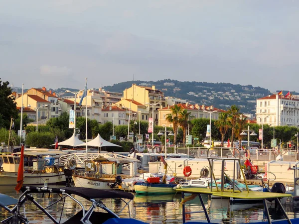 Cannes France Juillet 2018 Bateaux Moteur Ancrés Port Suquet Mont — Photo