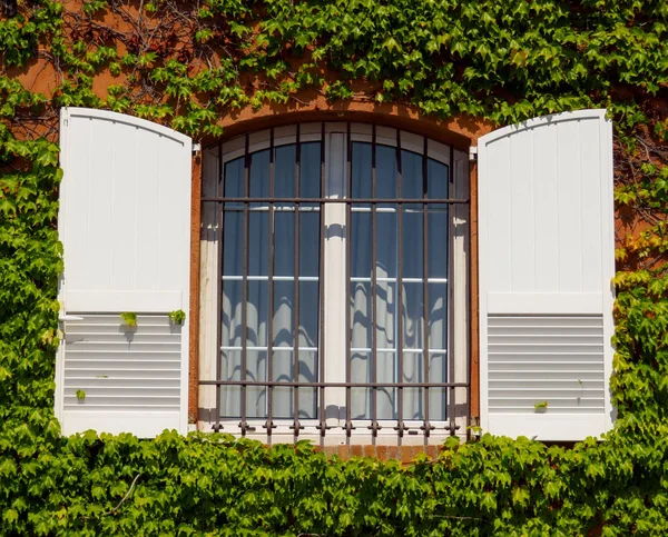 Finestra Sulla Parete Della Casa Rivestita Edera — Foto Stock