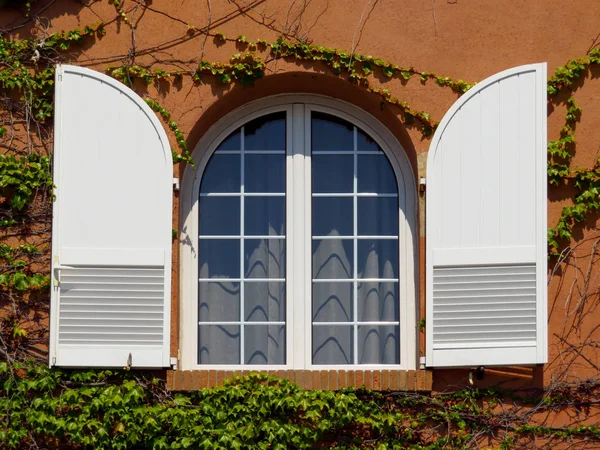 Finestra Sulla Parete Della Casa Rivestita Edera — Foto Stock