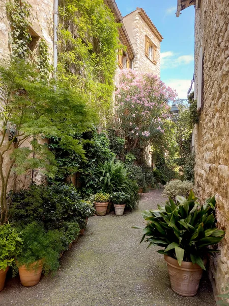 Saint Paul De Vence iki derin vadiler arasında dar bir teşvik tünemiş bir güzel Ortaçağ müstahkem köyüdür.