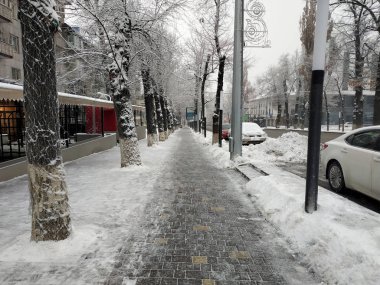 Yürüyen yol boyunca Abylay Khan Avenue, Almatı, Kazakistan
