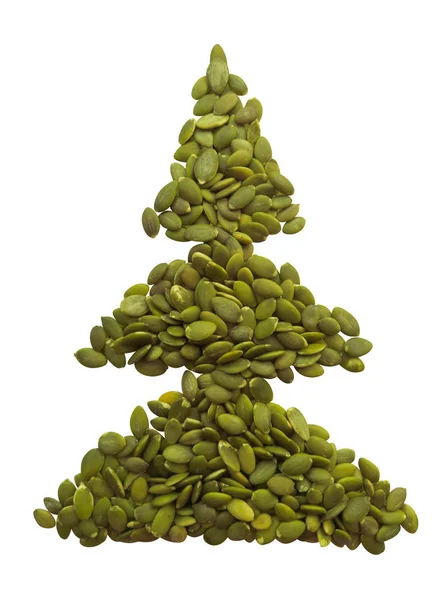 Spruce made from pumpkin seeds — Stock Photo, Image